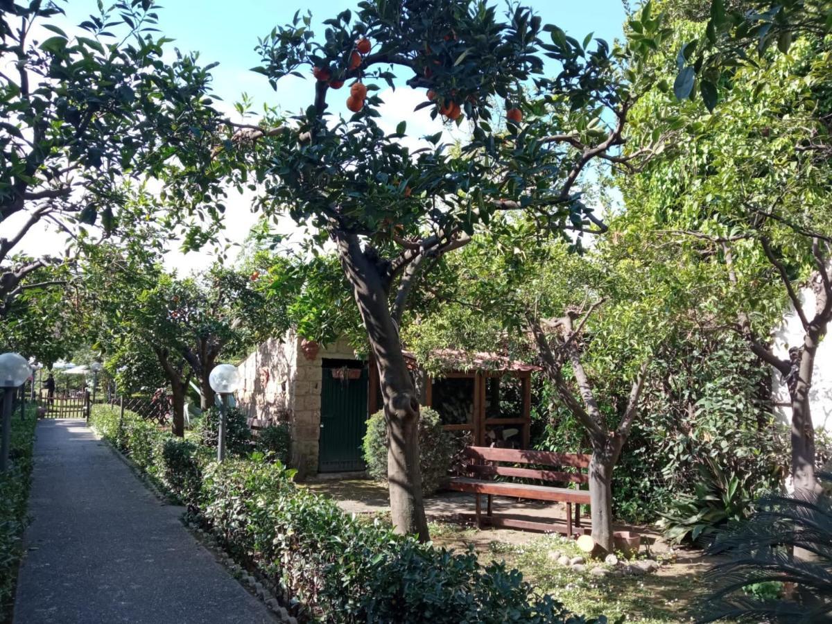 Residenza Caserta Sud - Appartamento Con Giardino Exteriör bild
