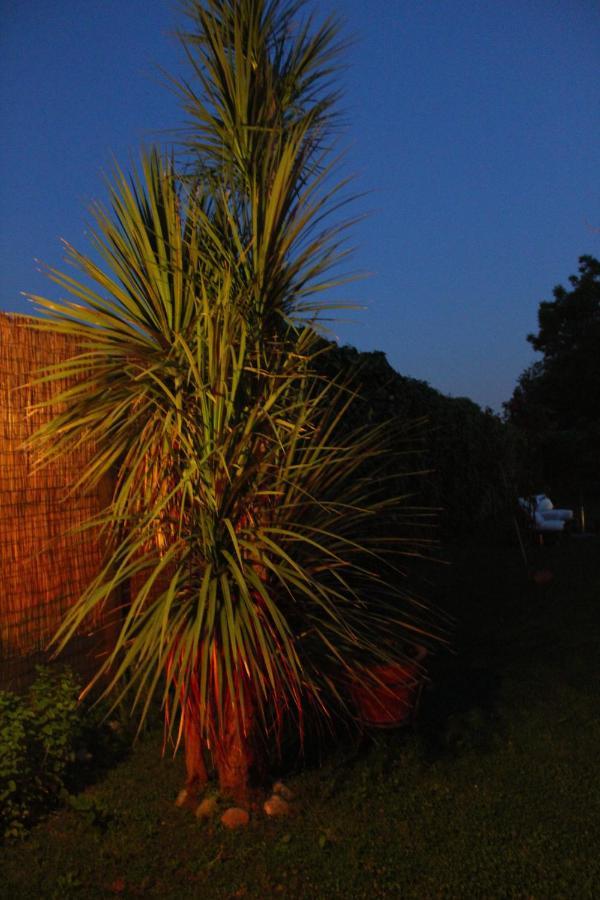 Residenza Caserta Sud - Appartamento Con Giardino Exteriör bild