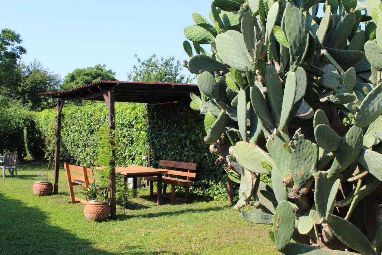 Residenza Caserta Sud - Appartamento Con Giardino Exteriör bild