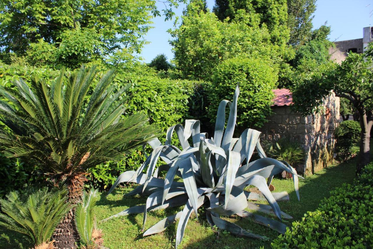 Residenza Caserta Sud - Appartamento Con Giardino Exteriör bild